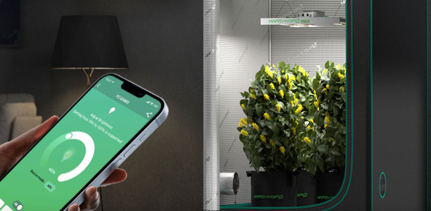 Growbox