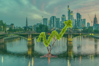 Deutsche Nachhaltigkeit AG Impact-Investment-Prozess