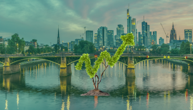 Deutsche Nachhaltigkeit AG Impact-Investment-Prozess