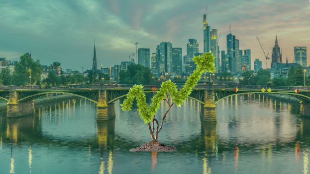 Deutsche Nachhaltigkeit AG Impact-Investment-Prozess