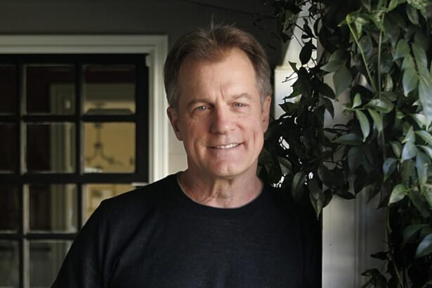 stephen collins