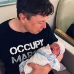 nevada alexander musk
