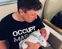 nevada alexander musk