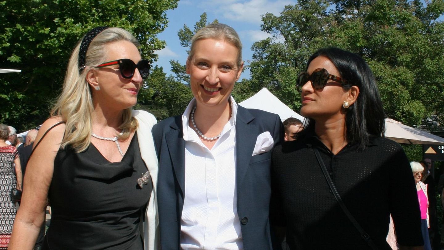 alice weidel lebensgefährtin